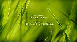 خیلی خیلی کوچک (2) (سیب زمینی سرخ کرده)